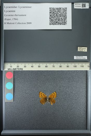Media type: image;   Entomology 183409